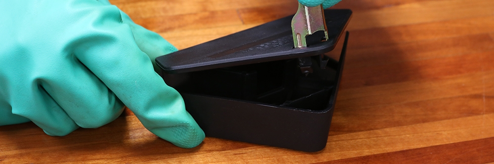 Opening Mouse Bait Station with Key Opening Mouse Bait Station with Key
