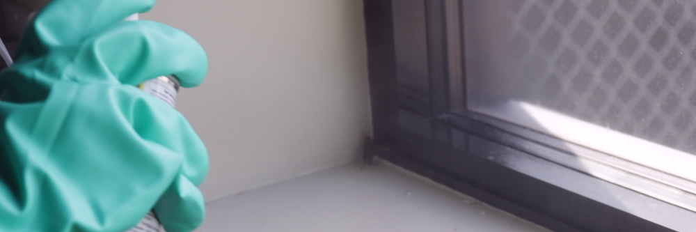 Spraying Pyrid in Pantry where Wasp landed