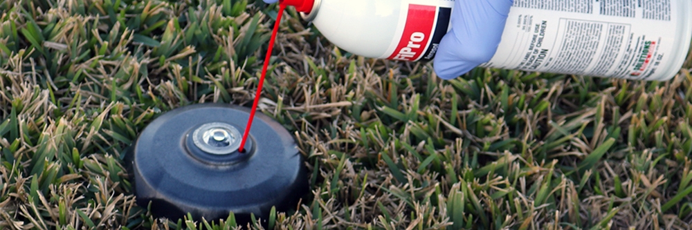 Applying FiPro to Termite Galleries Through Red Eye Termite Station Applying FiPro to Termite Galleries Through Red Eye Termite Station