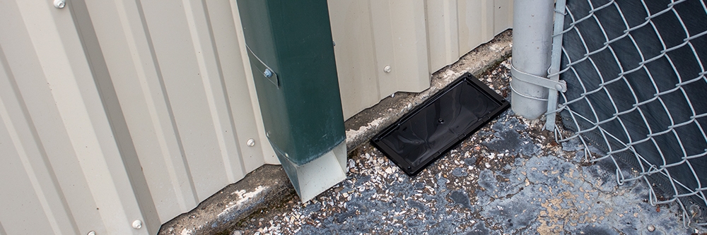 Pro Rat and Mouse Glue Tray Near Downspout Pro Rat and Mouse Glue Tray Near Downspout