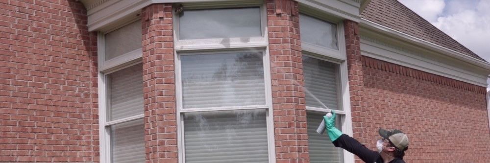 Spraying Wasp Nest with Stryker Spraying Wasp Nest with Stryker